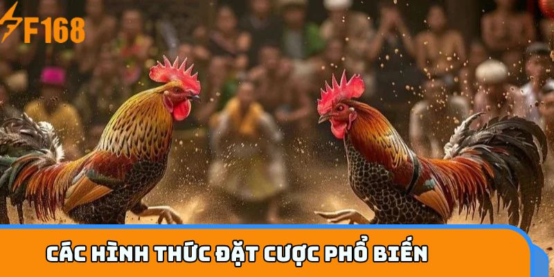 Các hình thức đặt cược phổ biến