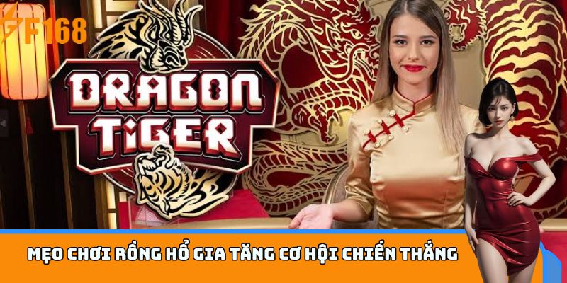 Mẹo chơi Rồng Hổ gia tăng cơ hội chiến thắng
