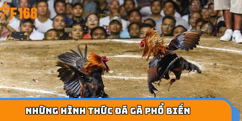 Các hình thức đá gà phổ biến