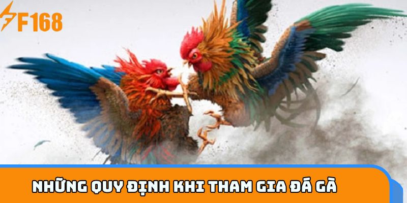 Những quy định khi tham gia đá gà